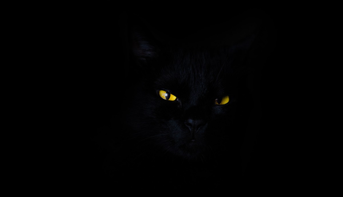 3. Es gibt keine schwarze Katze in diesem dunklen Raum