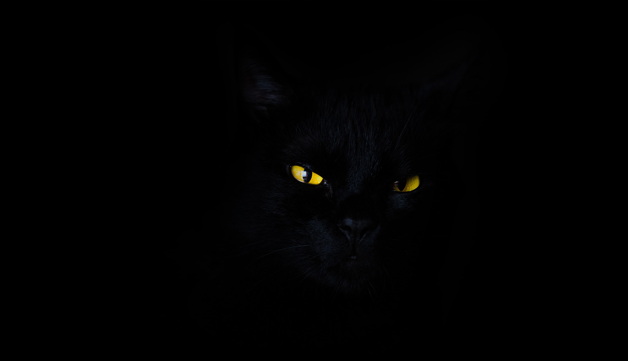 3. Es gibt keine schwarze Katze in diesem dunklen Raum